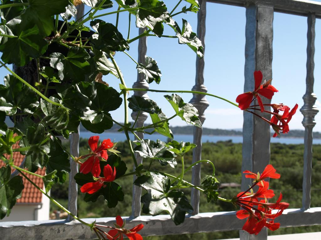 Apartment Arta Vodice Exteriér fotografie